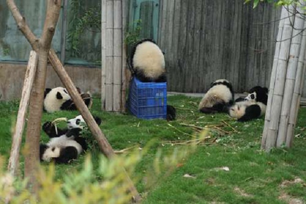 201506181104515487.jpg 201506181104515487.jpg