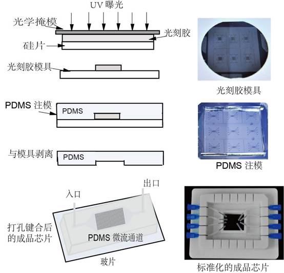 Figure3.jpg