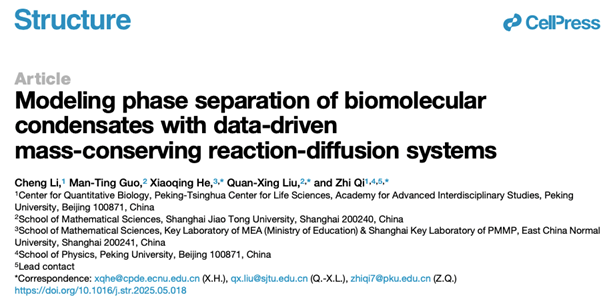 齐志研究组与合作团队发现生物大分子凝聚体在相分离过程中架起了实验与质量守恒反应扩散系统理论之间的桥梁