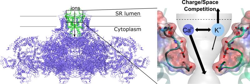 北京大学定量生物学中心 北京大学定量生物学中心