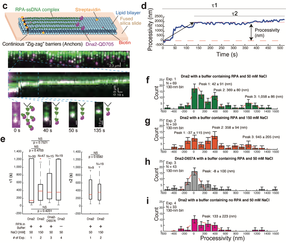 北京大学定量生物学中心 北京大学定量生物学中心