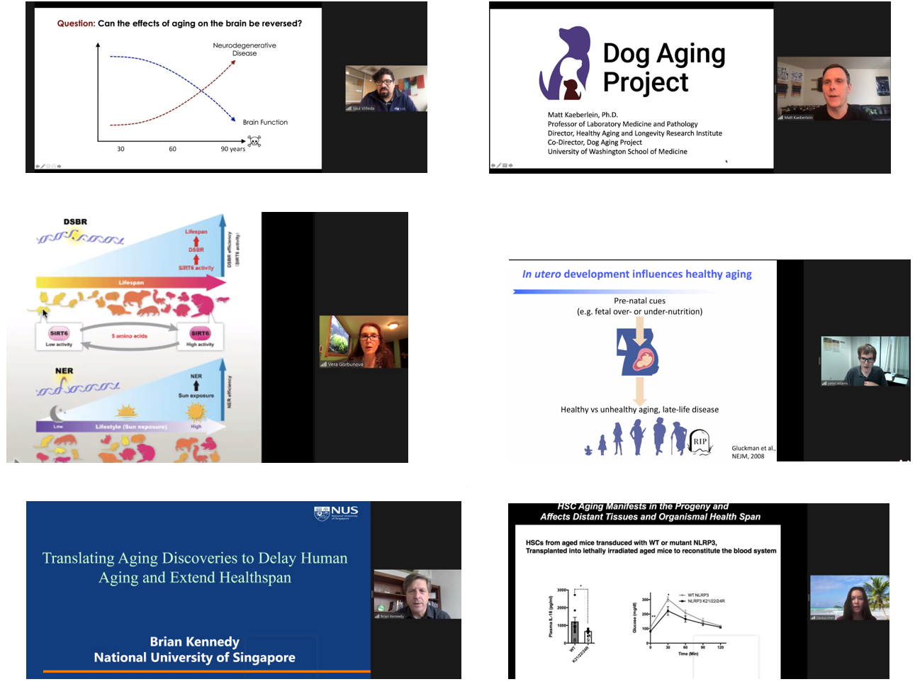 北京大学定量生物学中心 北京大学定量生物学中心