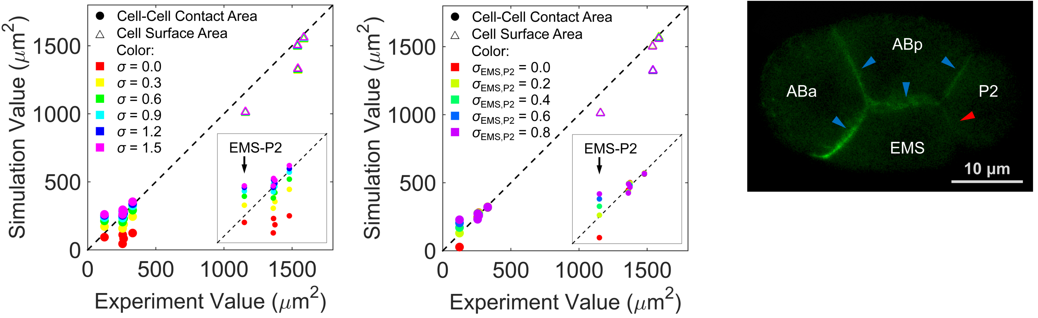 北京大学定量生物学中心 北京大学定量生物学中心