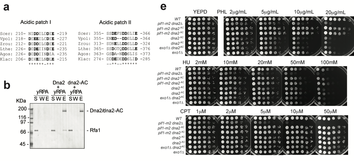 北京大学定量生物学中心 北京大学定量生物学中心