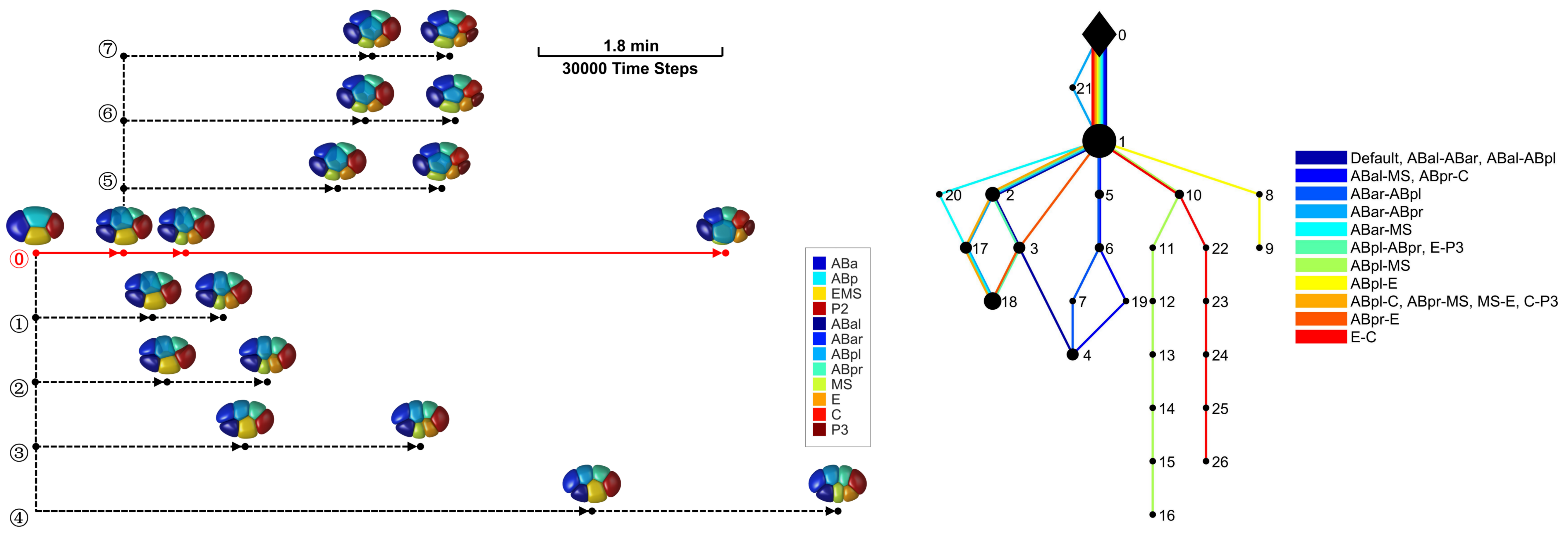 北京大学定量生物学中心 北京大学定量生物学中心