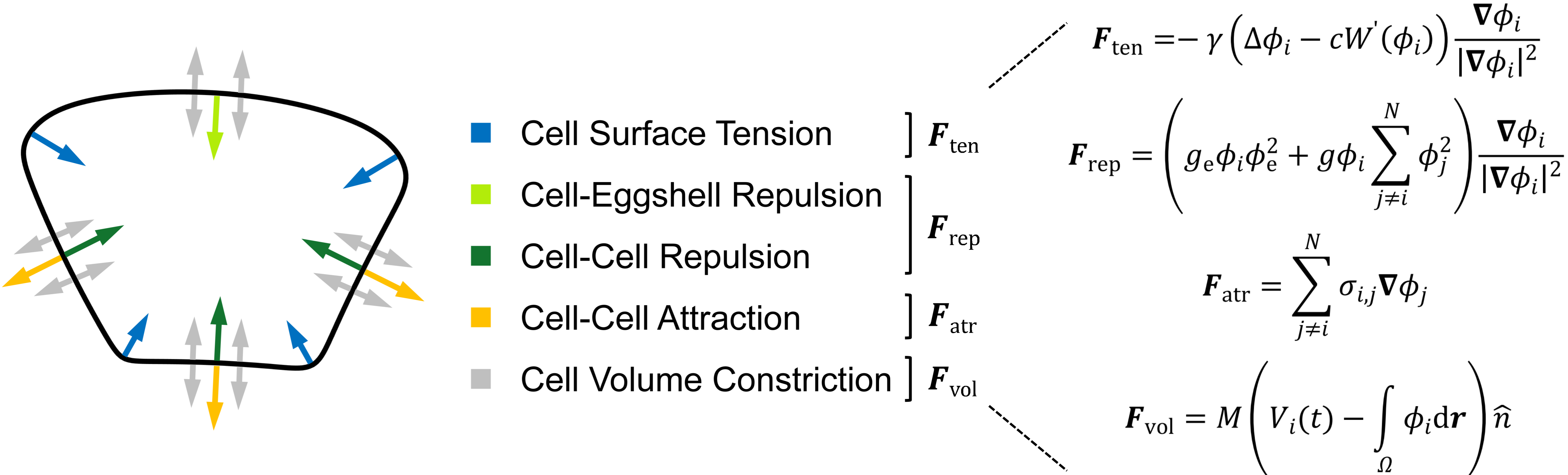 北京大学定量生物学中心 北京大学定量生物学中心