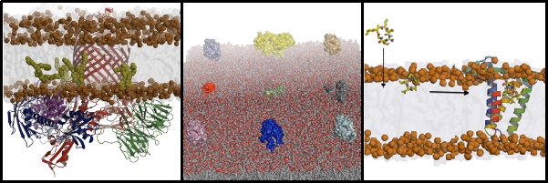 北京大学定量生物学中心 北京大学定量生物学中心